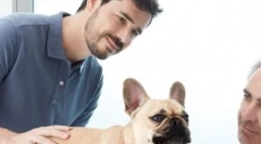 4 Nejlepší způsob, jak se naučit psa nibble tapety